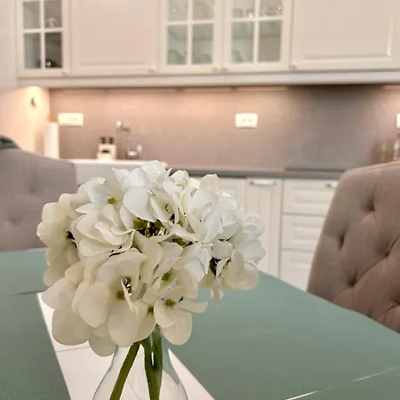 Vibrant L Stylish 2bd In Center Βάρνα