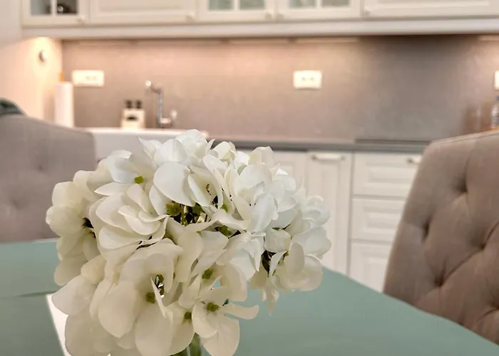 Vibrant L Stylish 2bd In Center Varna